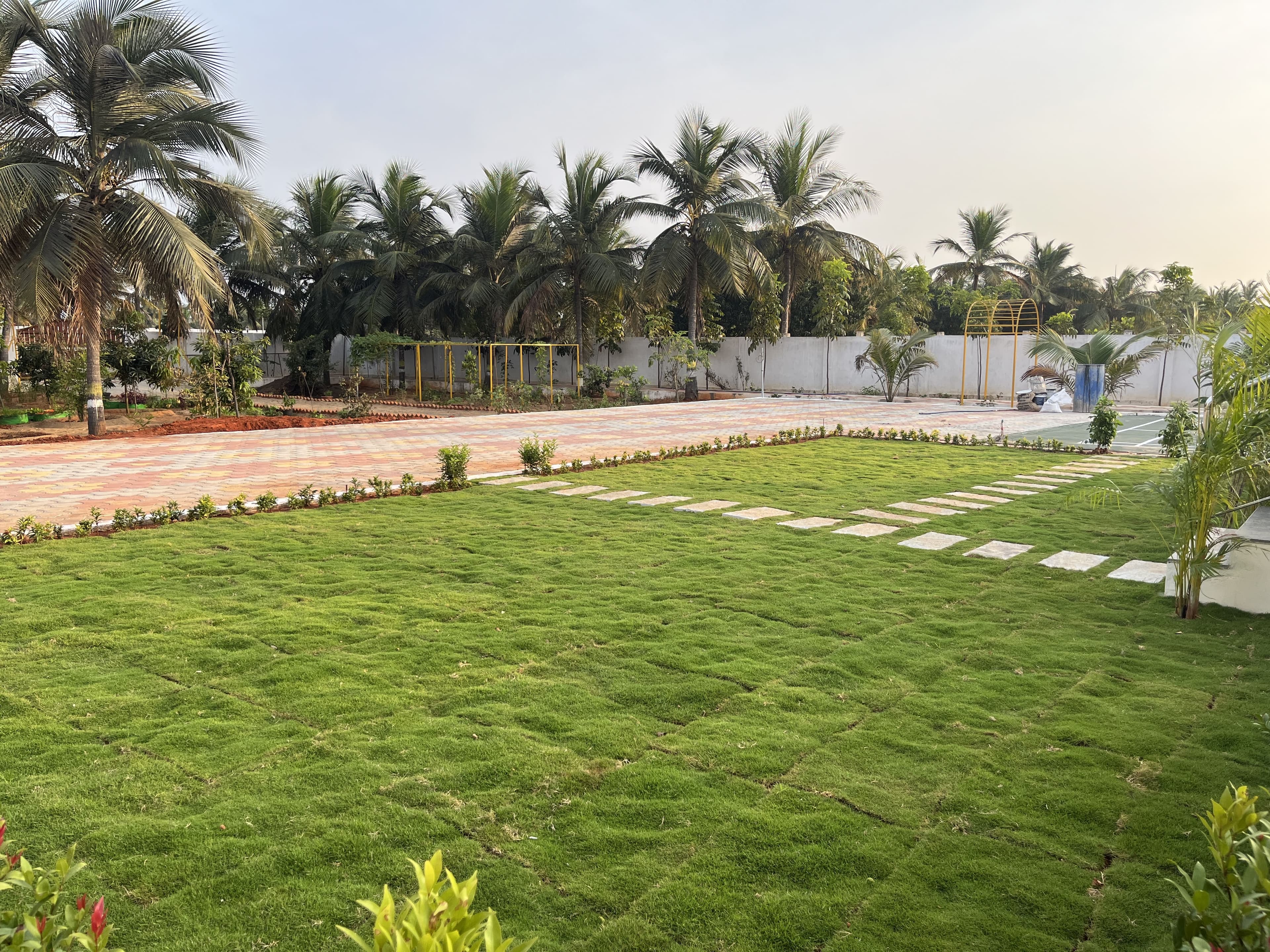 Wide Lawn Area